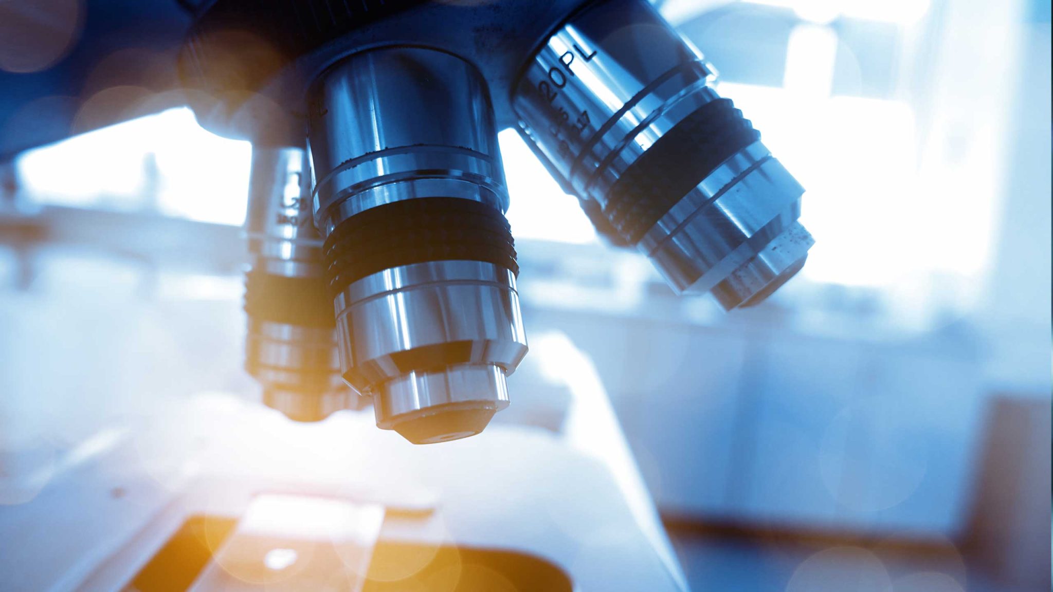 Pathology Diagnostic Laboratory Services, Inc.