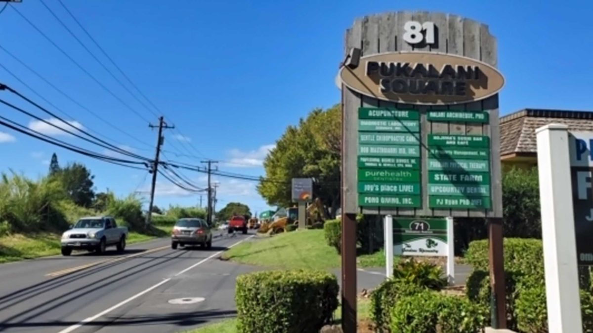 Pukalani Diagnostic Laboratory Services, Inc.