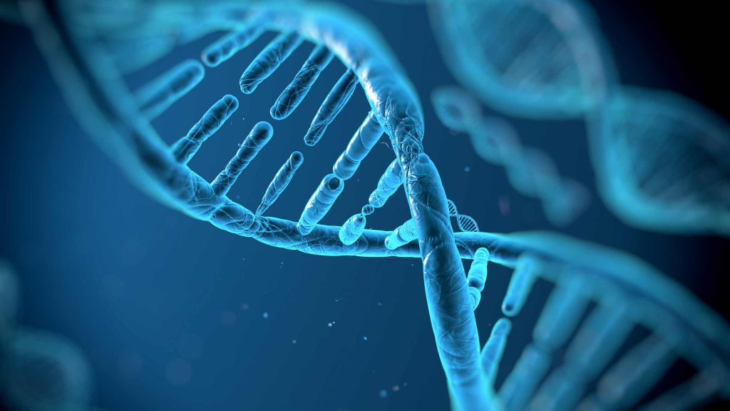 DLS Molecular Services Image