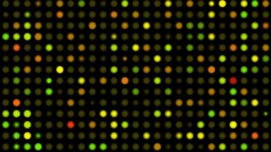 Microarray genetic testing platform at DLS.