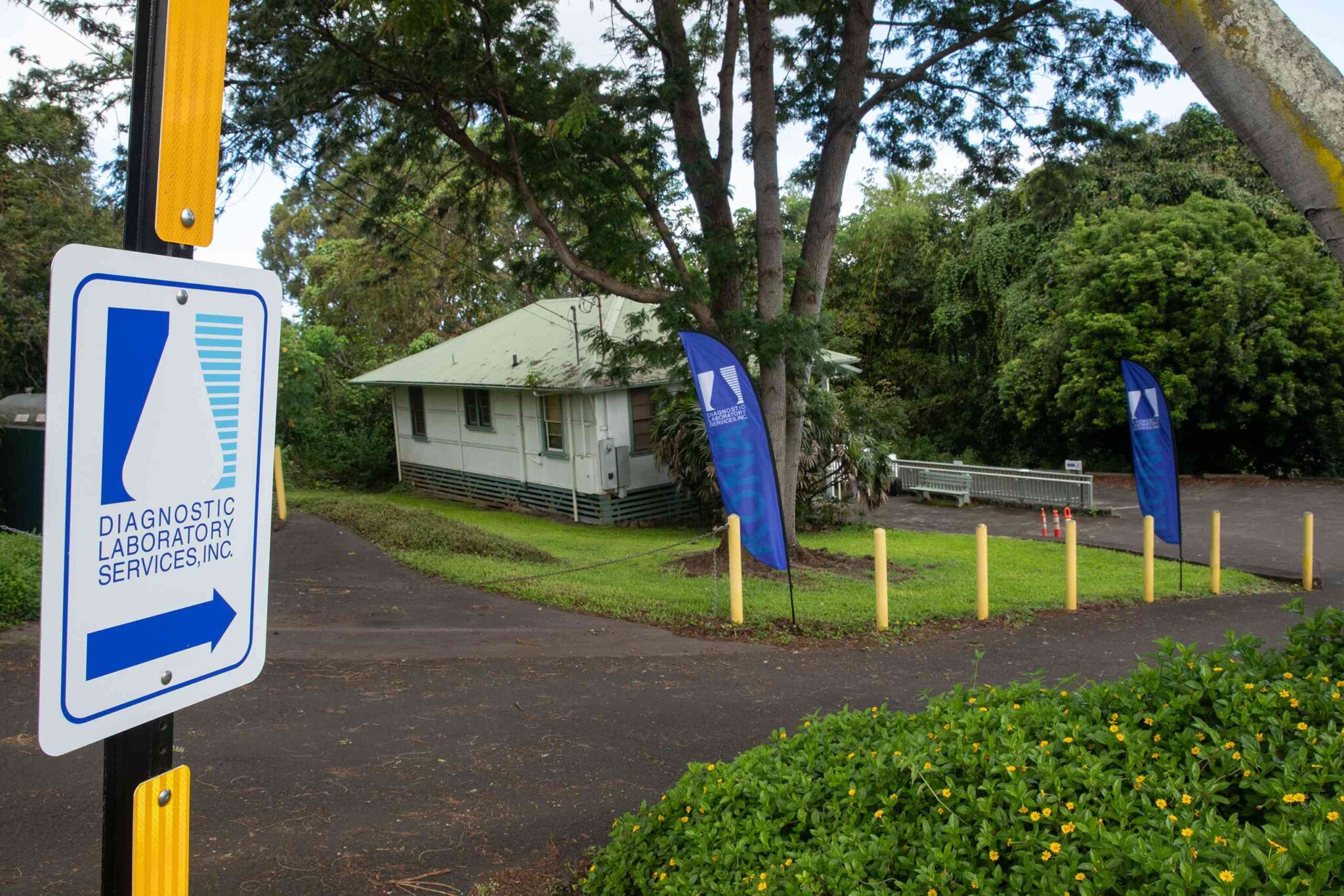 Diagnostic Laboratory Services, Inc.